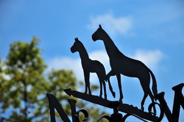 新しい一年のはじまりに